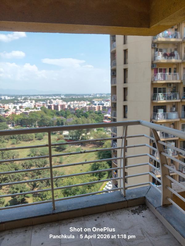 3.5 BHK + Servant Room Builder Floor For Sale in Sector 20