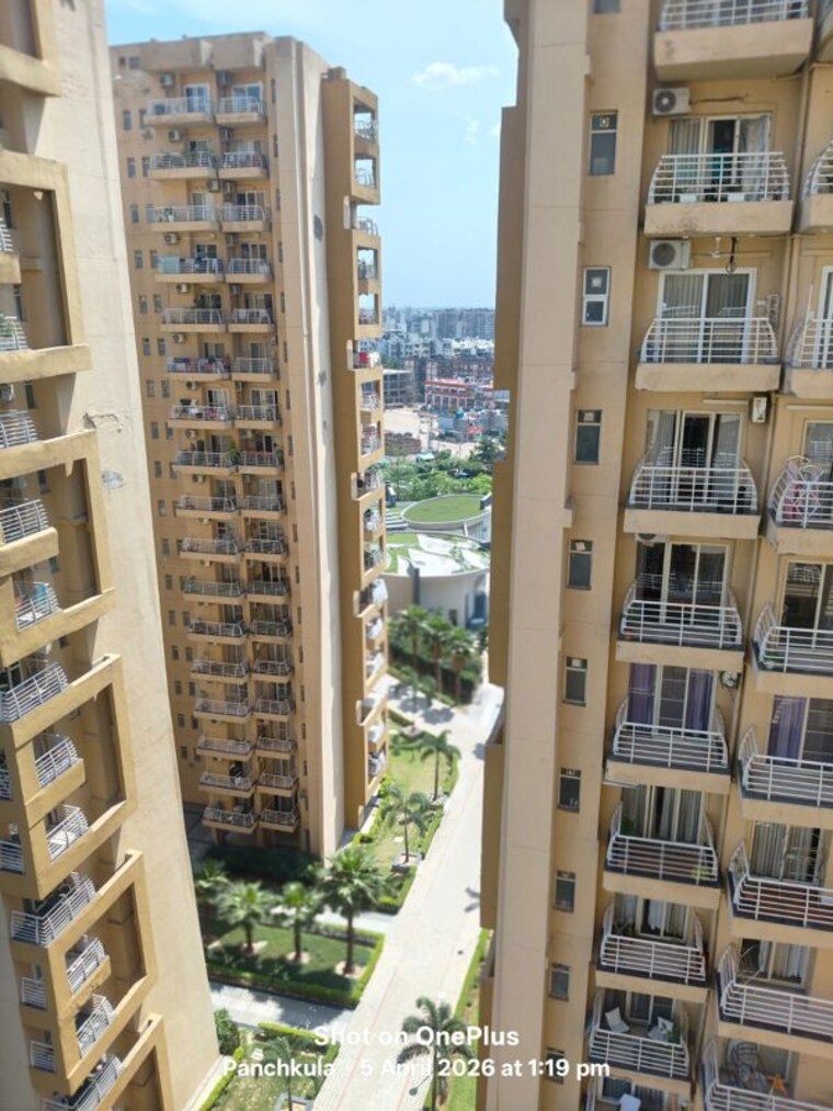 Exterior View, sector 20 3.5 Bedroom 1850 Sq.Ft. Builder Floor In Sector 20 Panchkula 10239837