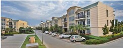 3 BHK Builder Floor For Rent in Omaxe Silver Birch