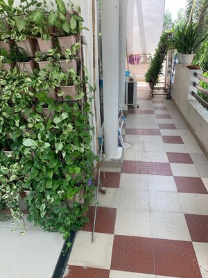 Balcony in 1 RK Builder Floor at Gomti Nagar – for Rent