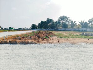 Plot Area in  Plot at Virupakshapura – for Sale