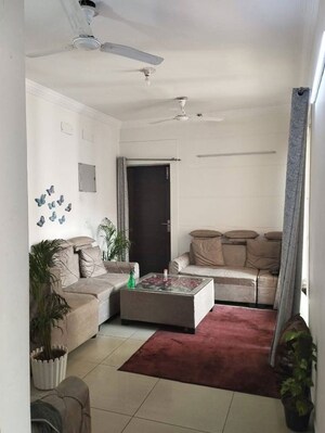 Living Room in 2 BHK Apartment at Exotica Dreamville, Sector 16c Greater Noida – for Rent