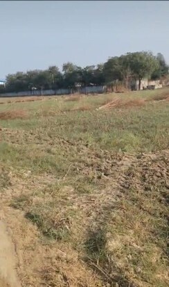 Plot For Sale in Bhirawati