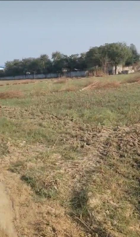 Plot For Sale in Bhirawati