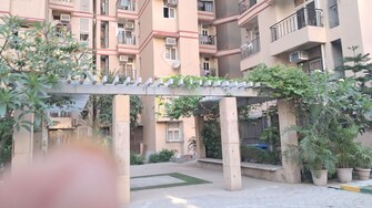2.5 BHK + Study Room 1015 Sq.Ft. Apartment in Amrapali Princely Estate
