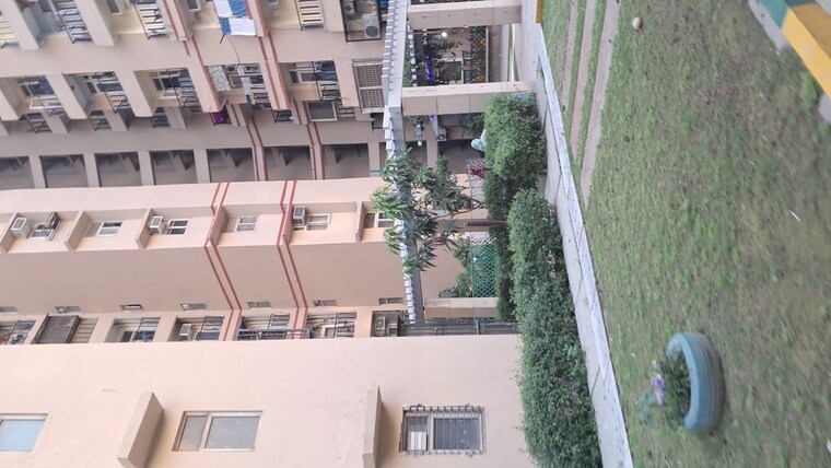 Balcony, amrapali-princely-estate 2.5 Bedroom 1015 Sq.Ft. Apartment In Sector 76 Noida 10240863