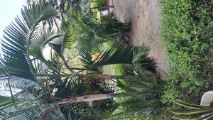 2.5 BHK Apartment – Garden View at Amrapali Princely Estate, Sector 76 - for Sale