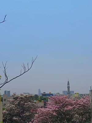 1 BHK Independent House For Rent in Manjunatha CHS, Btm Layout