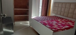 3 BHK Apartment For Rent in Tulsiani Urban Woods