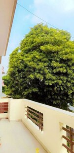 2 BHK + Pooja Room 1550 Sq.Ft. Independent House in Sector 41