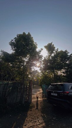 4 BHK + Extra Room Independent House For Sale in Sector 36