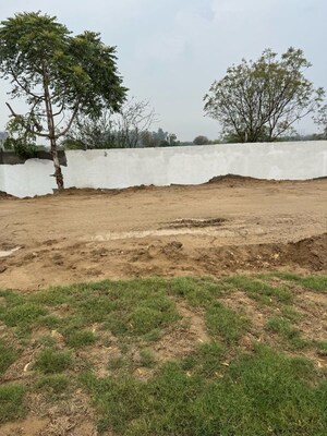 Plot Area in  Plot at ACE Acreville, Sector 22a Yamuna Expressway – for Sale