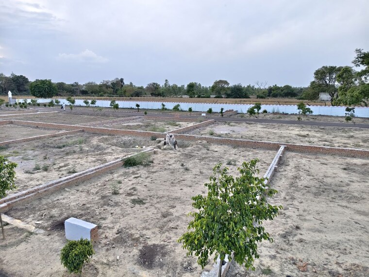 undefined, aminabad  1250 Sq.Ft. Plot In Aminabad Lucknow 10243089