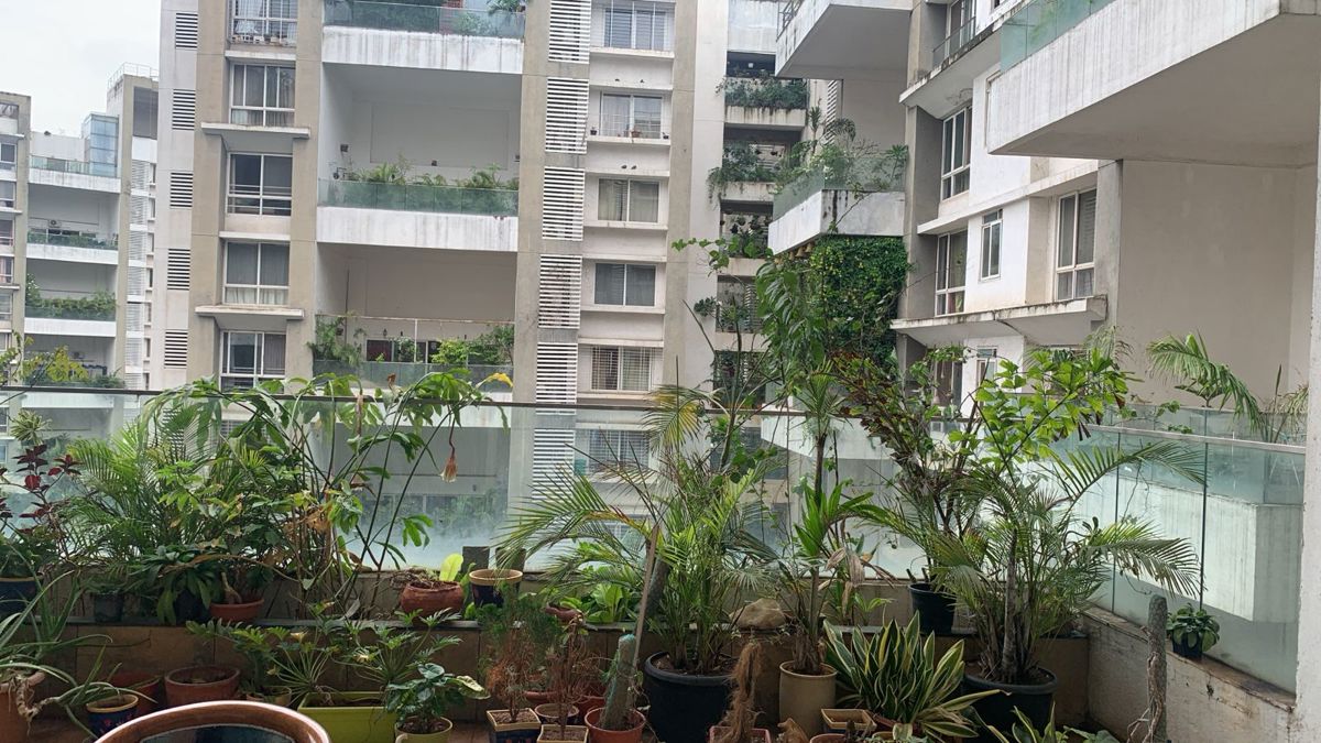 2 BHK + Pooja Room 850 Sq.Ft. Apartment in Durvankur Height