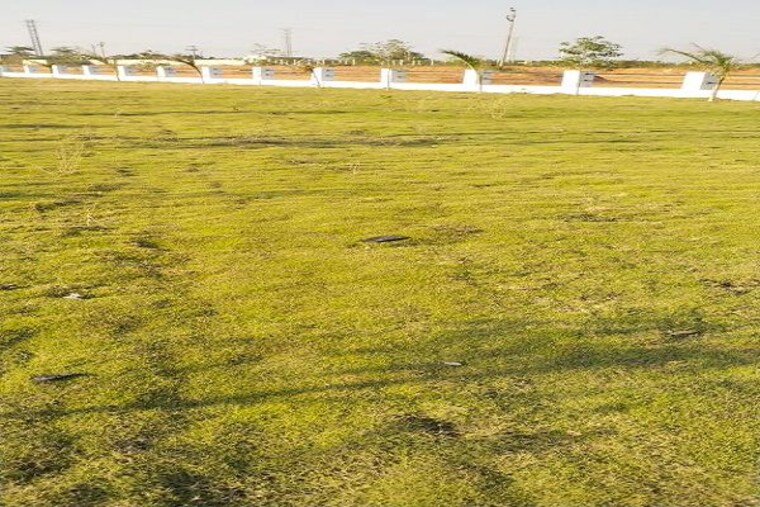 Garden, shadnagar  447 Sq.Yd. Plot In Shadnagar Hyderabad 10243350