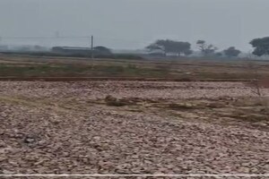 Plot Area in  Plot at Jewar – for Sale