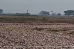Plot For Sale in Jewar