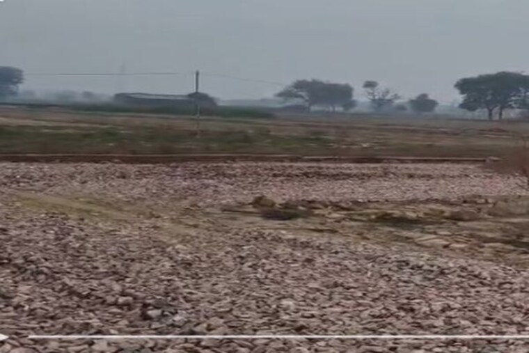 undefined, jewar  1970 Sq.Ft. Plot In Jewar Greater Noida 10243654