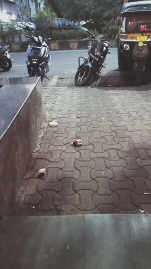 1 BHK Apartment For Rent in Shah Complex 3, Sanpada