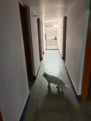 Building Lobby in 3 BHK Builder Floor at Rahim Nagar – for Rent