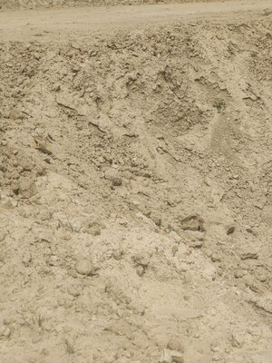 Plot Area in  Plot at Saini – for Sale