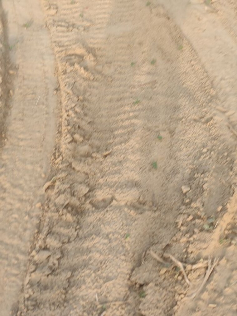 undefined, saini  120 Sq.Yd. Plot In Saini Greater Noida 10244185