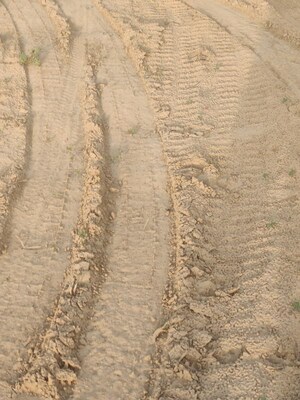 Plot Area in  Plot at Saini – for Sale