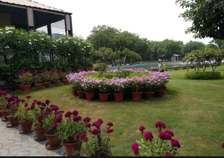 Garden, central-park-cerise-suites 2.5 Bedroom 1210 Sq.Ft. Builder Floor In Sohna Sector 33 Gurgaon 10244283