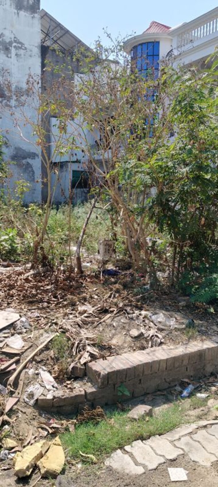 undefined, gomti nagar  4001 Sq.Ft. Plot In Gomti Nagar Lucknow 10244433