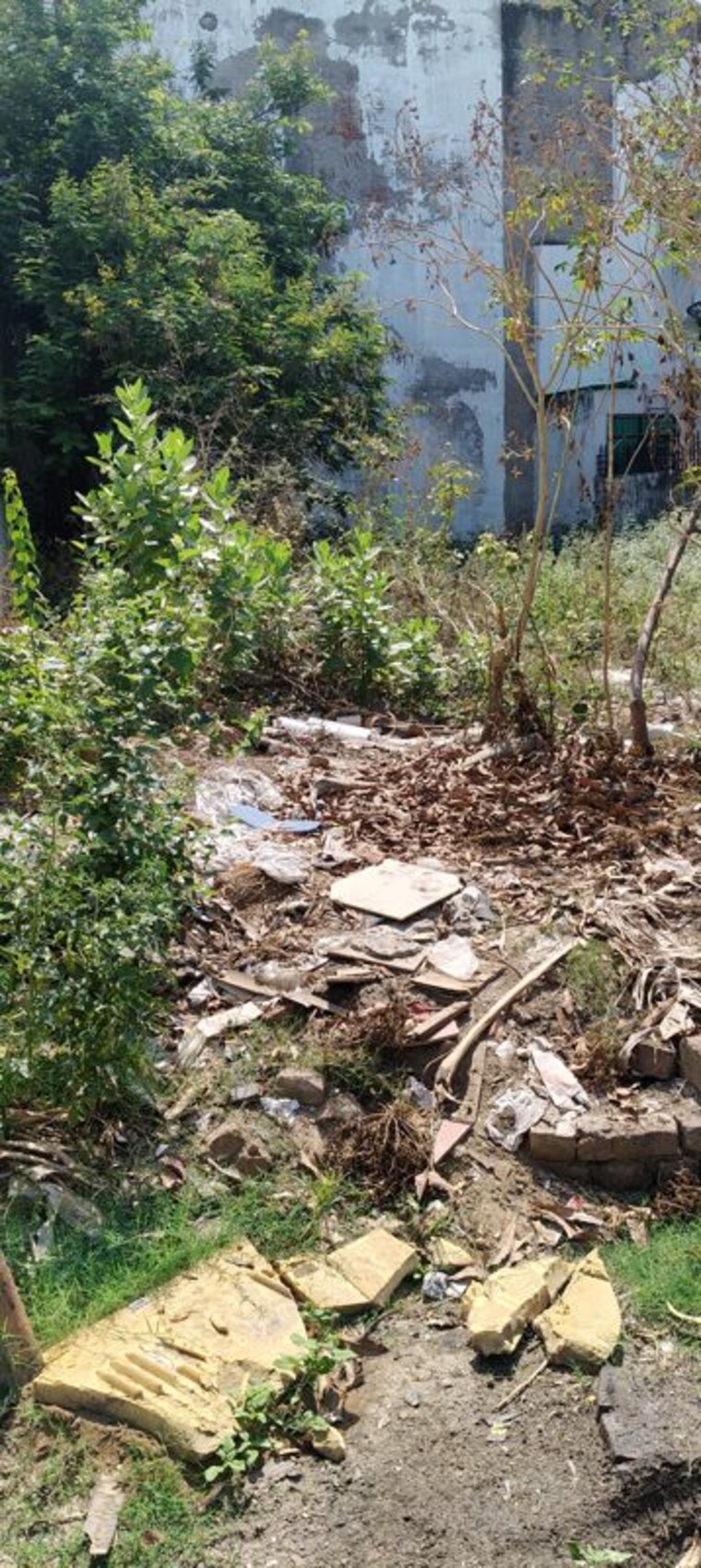 undefined, gomti nagar  4001 Sq.Ft. Plot In Gomti Nagar Lucknow 10244433