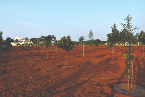  Plot For Sale in Fortune 18, Amangal