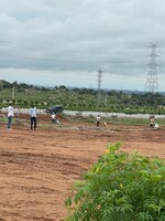 230 Sq.Yd. Plot in Fortune Nector