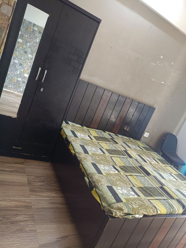 1 BHK Apartment For Rent in Paramount Golfforeste