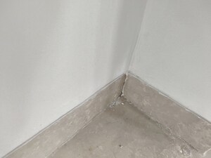 Room in 3 BHK Apartment at Oberoi Realty Esquire, Goregaon East – for Rent