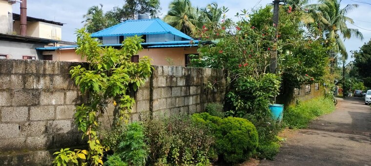 Garden, chiyyaram  4356 Sq.Ft. Plot In Chiyyaram Thrissur 10242371