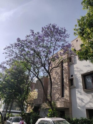 5 BHK Villa – Exterior View View at Vasant Kunj - for Rent