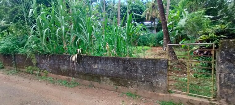undefined, viyyur  5885 Sq.Ft. Plot In Viyyur Thrissur 10244837