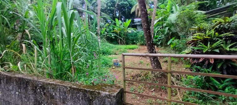 Garden, viyyur  5885 Sq.Ft. Plot In Viyyur Thrissur 10244837