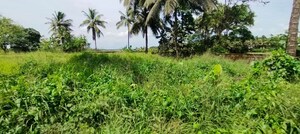 Plot Area in  Land at Kunnamkulam – for Sale