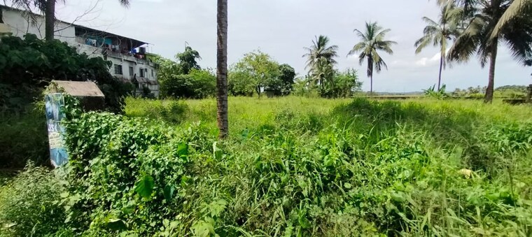Garden, kunnamkulam Commercial Land 45738 Sq.Ft. In Kunnamkulam Thrissur 10244680