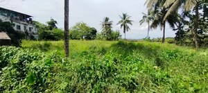 Plot Area in  Land at Kunnamkulam – for Sale