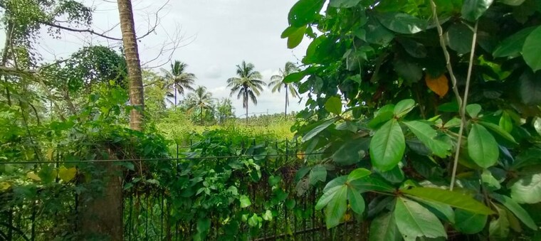 Garden, kunnamkulam Commercial Land 45738 Sq.Ft. In Kunnamkulam Thrissur 10244680