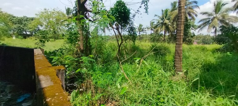 Garden, kunnamkulam Commercial Land 45738 Sq.Ft. In Kunnamkulam Thrissur 10244680