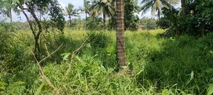  Land – Garden View at Kunnamkulam - for Sale