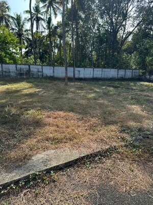 Plot Area in  Plot at Kuttoor – for Sale