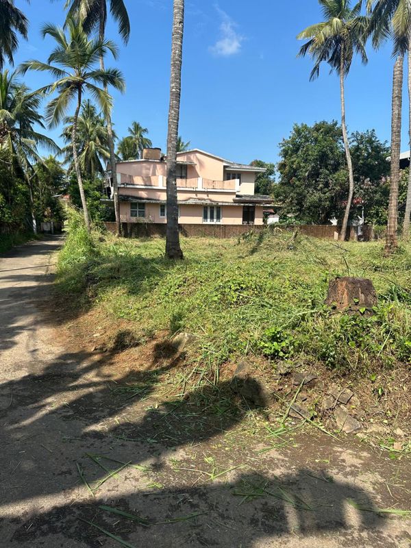 Plot For Sale in Kuttanellur