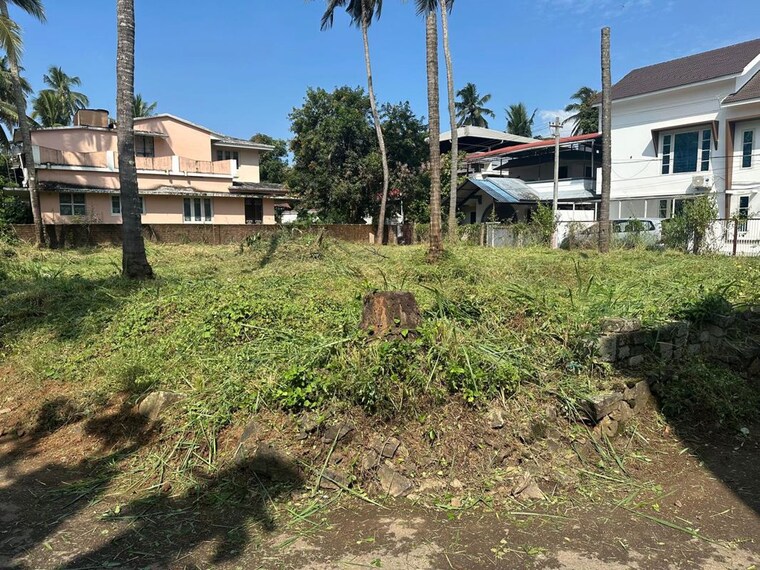 Exterior View, kuttanellur  4575 Sq.Ft. Plot In Kuttanellur Thrissur 10244619