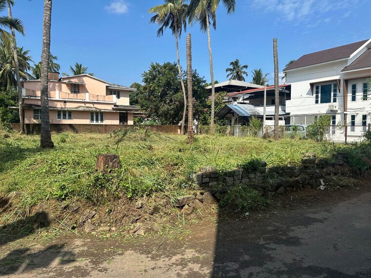 Exterior View, kuttanellur  4575 Sq.Ft. Plot In Kuttanellur Thrissur 10244619