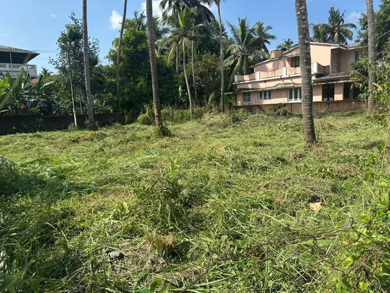 Garden, kuttanellur  4575 Sq.Ft. Plot In Kuttanellur Thrissur 10244619