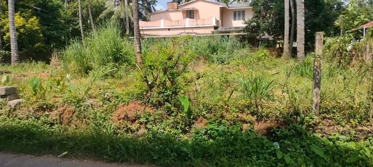 Garden, kuttanellur  4575 Sq.Ft. Plot In Kuttanellur Thrissur 10244619